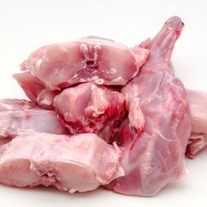 coniglio