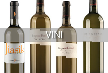 Categoria vini cazzamali